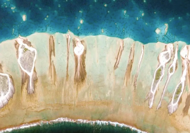 天合融智助力企业2026CDP提交