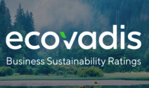 EcoVadis2026新规下，企业如何应对，我们来支招！